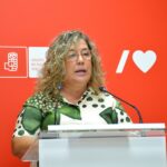 El PSOE reclama a PP y Vox el Consejo de Medio Ambiente por talar "más de 120 árboles sin informar de los criterios técnicos"