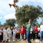 De la Academia de Infantería a volar los cielos de Oropesa: el águila imperial que se crio en cautividad en Sevilleja de la Jara