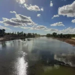 Álamos, olmos o tarayes, víctimas de "la devastación" del bosque de ribera del río Alberche: "Es un atentado contra la biodiversidad"