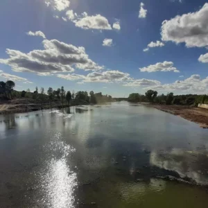 El bosque de ribera del río Alberche, víctima de "la devastación": "Es un atentado contra la biodiversidad"