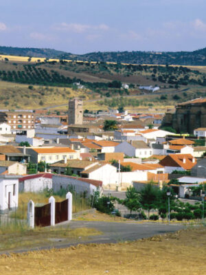 La comarca de La Jara contará con un nuevo servicio de transporte a demanda este año
