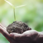 Toledo, sede del I Congreso de Retos Ambientales organizado por el Colegio de Ciencias Ambientales de Castilla-La Mancha