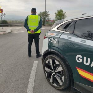 Detienen al presunto responsable de un accidente en el que falleció una mujer en la N-401