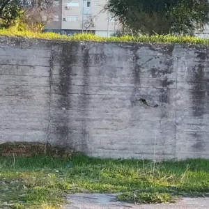 Área de las 48 en el Polígono, otra chapuza de la Junta de Comunidades