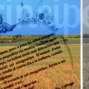 'El Principito' que también hablaba manchego: un guiño de la obra universal a la tradición lingüística local