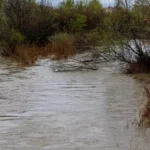 Nuevo mensaje Es-Alert a la población residente en zonas inundables del río Tajo y del Alberche en Talavera