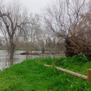 Las tres depuradoras "obsoletas" de Madrid por las que la Cátedra del Tajo pide "responsabilidad institucional"