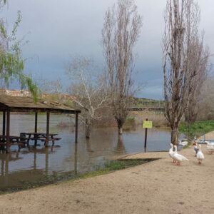 El Gobierno central asegura que acatará "rigurosamente" la sentencia a favor de los caudales ecológicos del Tajo
