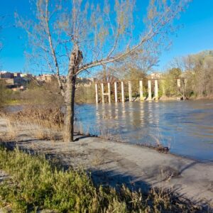 El Centro Cívico de Buenavista inaugura una exposición divulgativa del proyecto 'Renace Tajo'