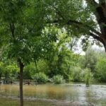 Castilla-La Mancha eleva la emergencia de posibles inundaciones a nivel 1 en Toledo y Guadalajara