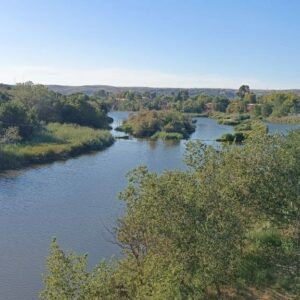 La Isla de los Pájaros desde Recaredo: proponen crear un observatorio ornitológico en el Casco Histórico