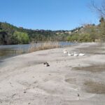 playa río tajo