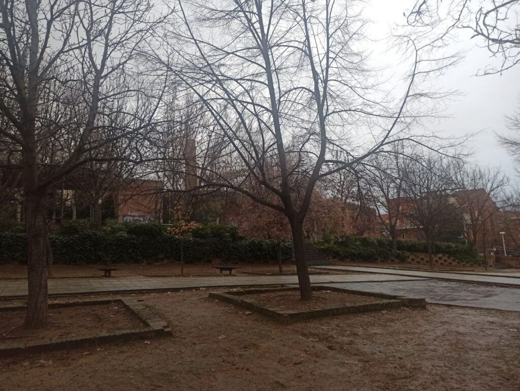 Toledo cierra parques por la previsión de lluvias y rachas de viento y Castilla-La Mancha activa el METEOCAM