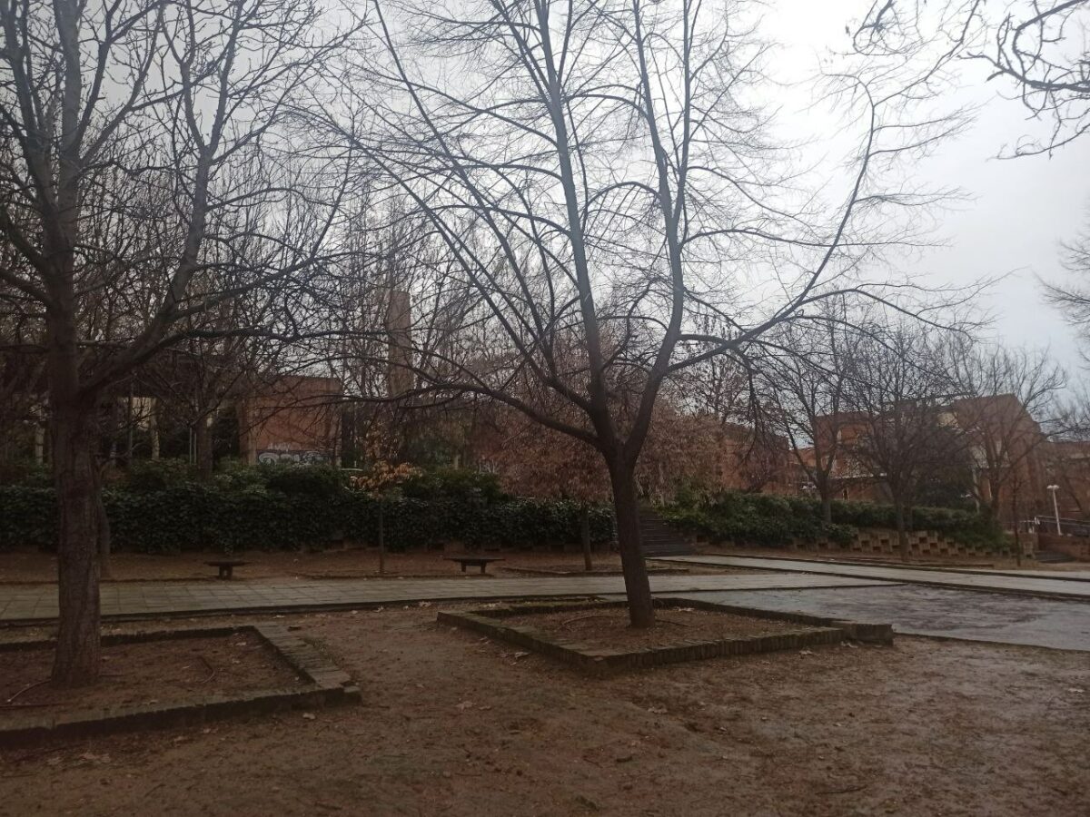 Toledo cierra parques por la previsión de lluvias y rachas de viento y Castilla-La Mancha activa el METEOCAM