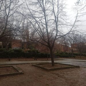 Toledo cierra parques y jardines ante la previsión de lluvias y fuertes rachas de viento