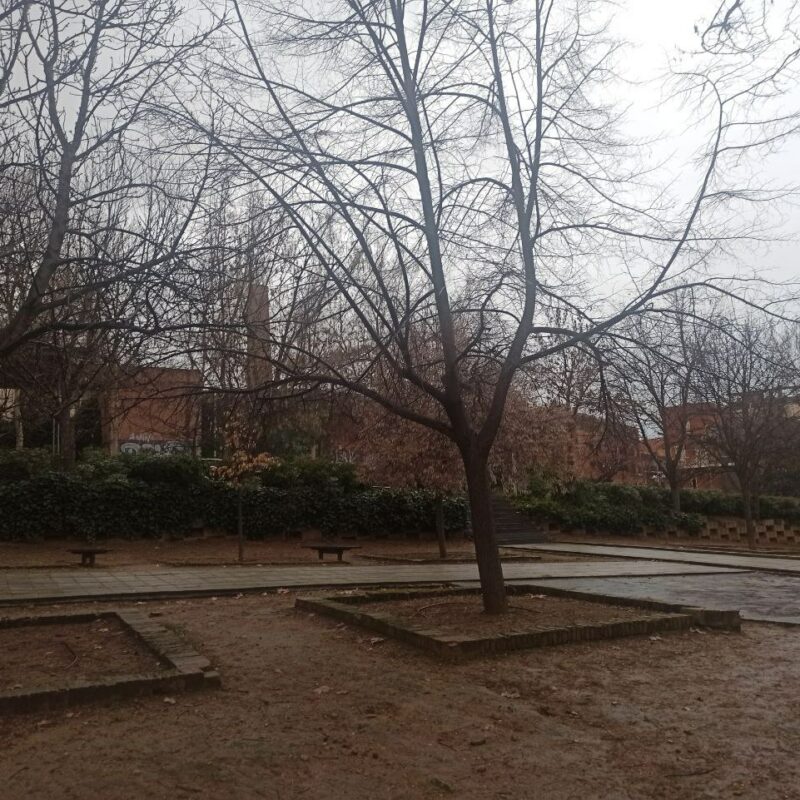 Toledo cierra parques por la previsión de lluvias y rachas de viento y Castilla-La Mancha activa el METEOCAM