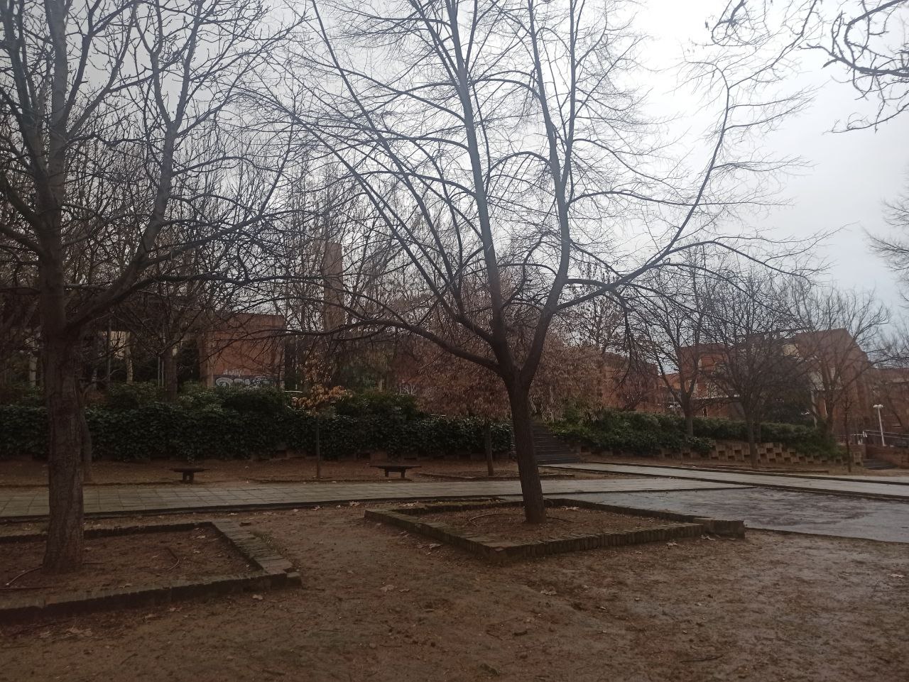 Toledo cierra parques por la previsión de lluvias y rachas de viento y Castilla-La Mancha activa el METEOCAM