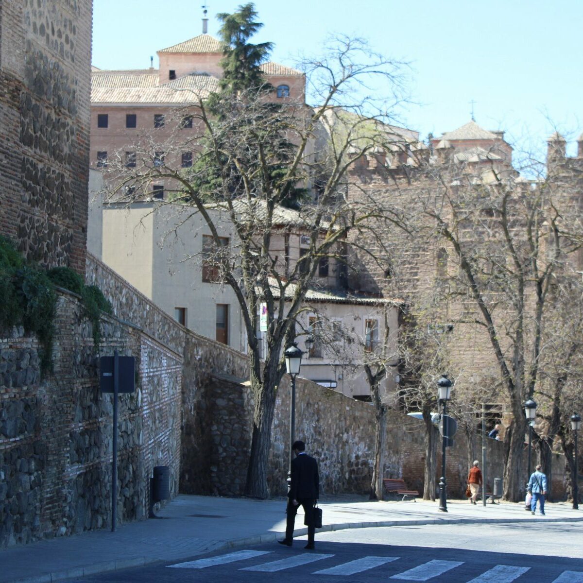 El Ministerio de Cultura adapta su actuación en la muralla de Toledo para minimizar el impacto al vencejo común