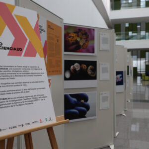Exposición de fotografías nano, micro y macroscópicas en el Hospital de Toledo para acercar la ciencia a la sociedad