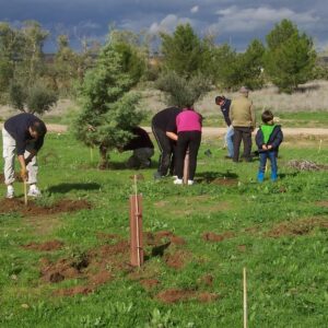 Abierta la inscripción para la jornada de plantación de árboles que se celebrará en la finca Portusa