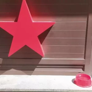 Dos establecimientos de Toledo con 'solete', y otros diez de la región, a los que se puede ir con perro