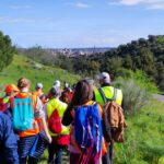 Por qué hay una superficie de vías pecuarias ocupadas equivalente a 300 campos de fútbol en la región