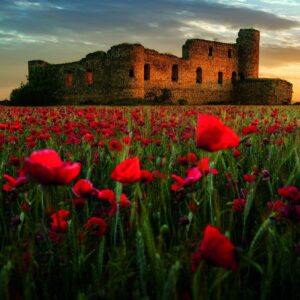 Castillos, sabor y patrimonio: la apuesta de Diputación para Fitur 2026