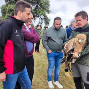 El CERI de Sevilleja de la Jara atendió a 146 animales en 2024 afectados por electrocución, disparo o veneno