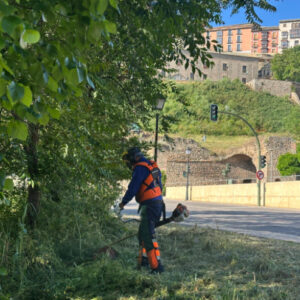 La limpieza y desbroce de las zonas verdes de Toledo se prorroga a la espera de un contrato de más de 14 millones