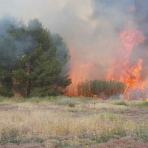 Un incendio en La Puebla de Almoradiel obliga a evacuar a más de 150 personas