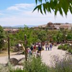 El impacto ambiental de ampliar Puy du Fou Toledo: gasto de agua sin “legalizar”, plan de incendios y tres hoteles