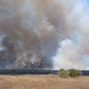 El incendio forestal de Gamonal ya está extinguido tras haber alcanzado el nivel 1