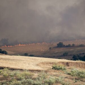 Méntrida, Maqueda y La Torre de Esteban Hambrán, incendios al borde de la A-5 en Toledo: "Son muy rápidos y es un reto"