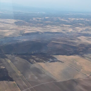 Controlado el incendio forestal declarado en Maqueda