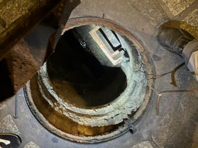 El PSOE reclama reforzar la prevención frente a las plagas en Toledo: "Vamos siempre un paso por detrás de las ratas"