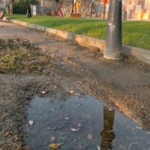 El parque del Alcázar