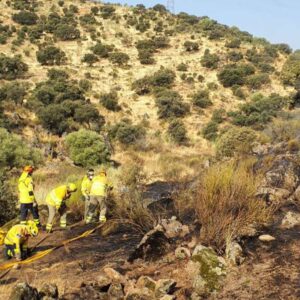 Los vecinos de Navalmoralejo ya han vuelto a sus casas y el incendio desciende hasta el nivel 0