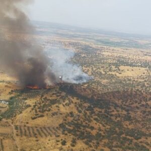 El incendio declarado en Navalmoralejo se extiende a Extremadura y se activa a la UME
