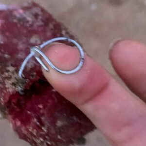 Los vecinos de Valparaíso denuncian la aparición de carne con alambre en el arroyo de Las Zorreras