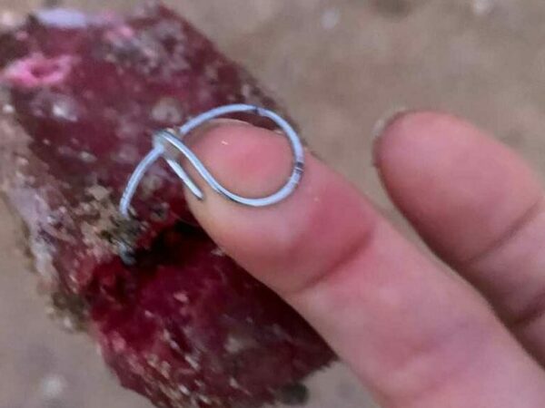 Los vecinos de Valparaíso denuncian la aparición de carne con alambre en el arroyo de Las Zorreras