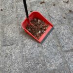 descarga (1)