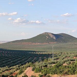 Mora propone un trueque a la Junta para evitar la expropiación de terrenos por la recuperación de una vía pecuaria