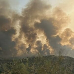 El incendio de Navalmoralejo ha consumido ya 3.000 hectáreas y está perimetrado al 90%