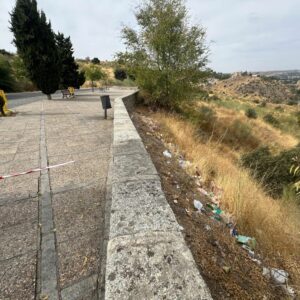 El PSOE insiste en convocar la Comisión de Medio Ambiente para hablar de talas, plagas y suciedad