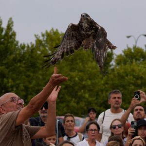 Aves rapaces recuperadas en Sevilleja de la Jara levantan el vuelo en la Peraleda 