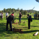 Abierto el plazo de inscripción para las jornadas de plantación participativa en la finca El Borril en Polán Abierto el plazo de inscripción para las jornadas de plantación participativa en la finca El Borril en Polán