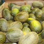 “Malestar” entre productores de melón y sandía por la falta de rentabilidad en 2025