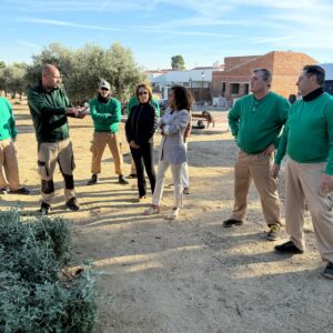 Olías del Rey impulsa a través de los programas de empleo la mejora de espacios verdes con plantaciones