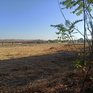 Movimiento Sumar responsabiliza a Velázquez de "los elevados precios" de las viviendas del Mirador de Galiana