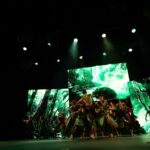 El Festival CiBRA 2025 cierra con un homenaje a la Naturaleza El Festival CiBRA 2025 cierra con un homenaje a la Naturaleza